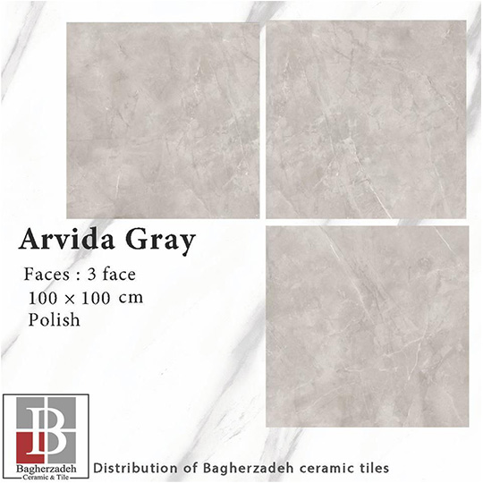 ARVIDA GRAY 100.100 36